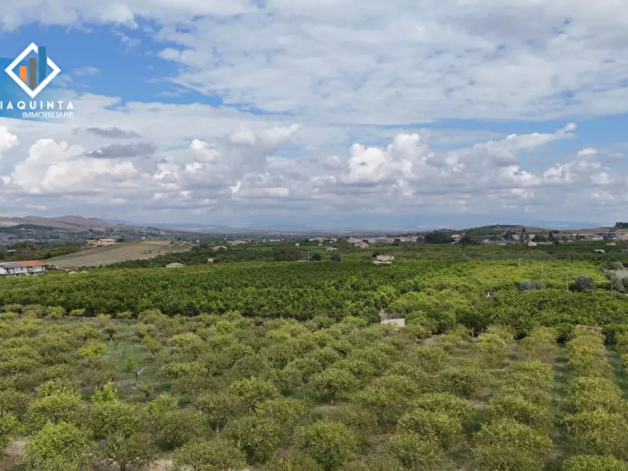 Immagine 15 di Terreno in vendita  in strada provinciale 132 a Palagonia