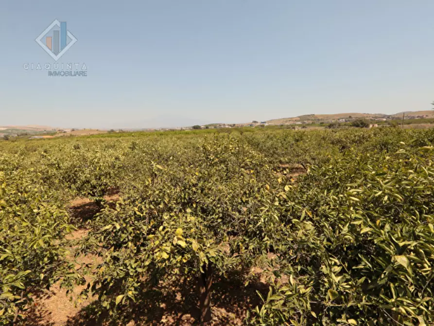 Immagine 18 di Terreno in vendita  in strada provinciale 132 a Palagonia