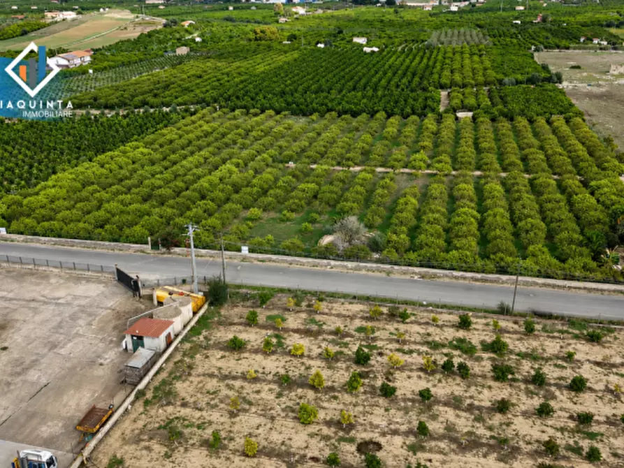 Immagine 18 di Terreno in vendita  in strada provinciale 132 a Palagonia