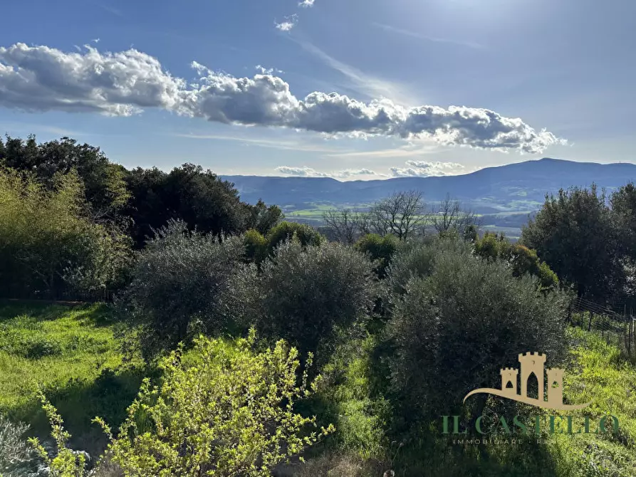 Immagine 17 di Casa indipendente in vendita  in Via Denzlingen a Città Della Pieve
