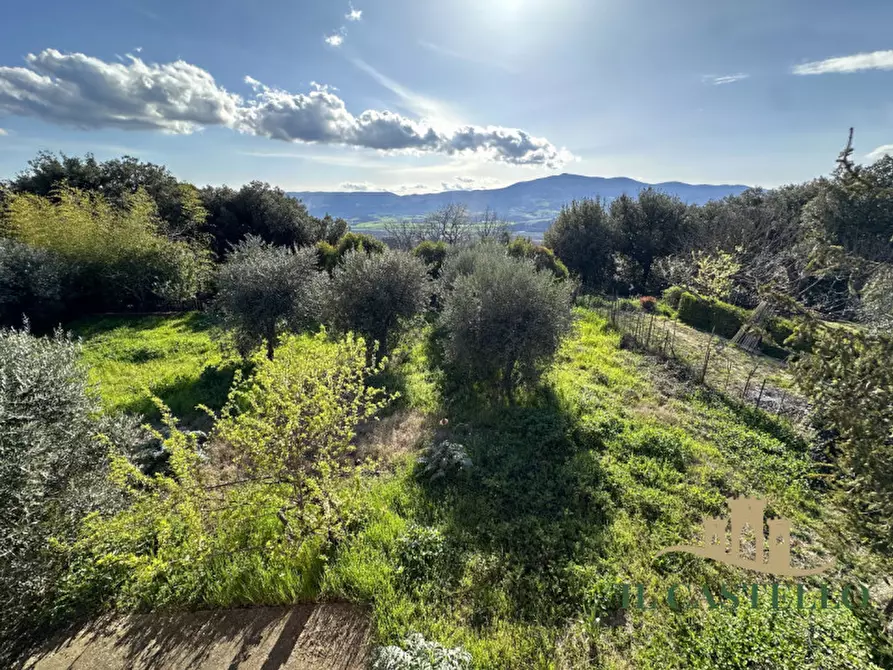 Immagine 21 di Casa indipendente in vendita  in Via Denzlingen a Città Della Pieve