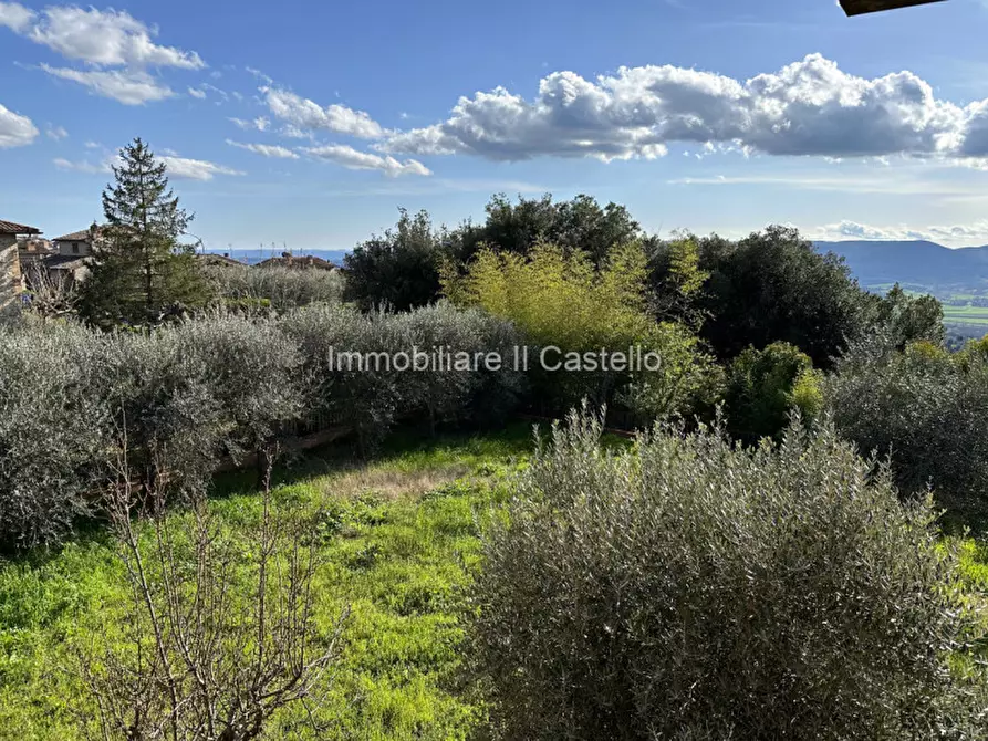 Immagine 23 di Casa indipendente in vendita  in Via Denzlingen a Città Della Pieve