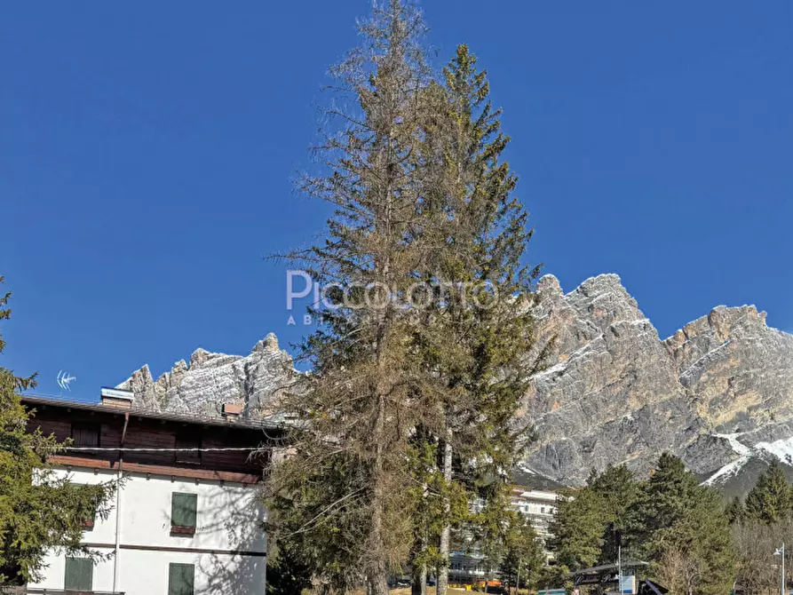 Immagine 5 di Appartamento in vendita  in Località Cademai a Cortina D'ampezzo