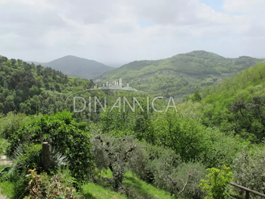 Immagine 5 di Rustico / casale in vendita  a Montecatini Terme