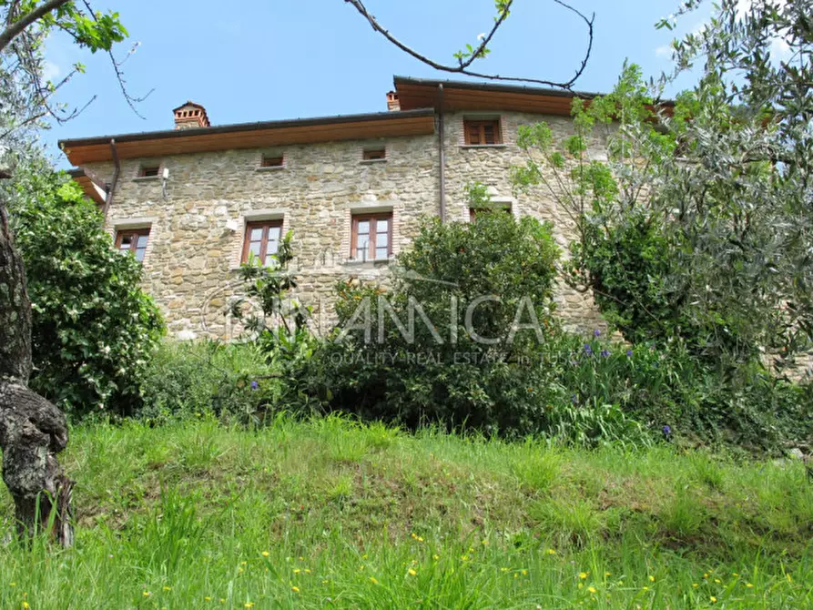 Immagine 7 di Rustico / casale in vendita  a Montecatini Terme
