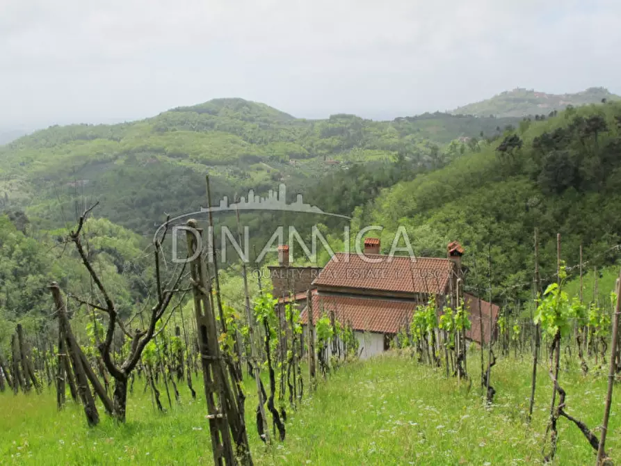 Immagine 8 di Rustico / casale in vendita  a Montecatini Terme