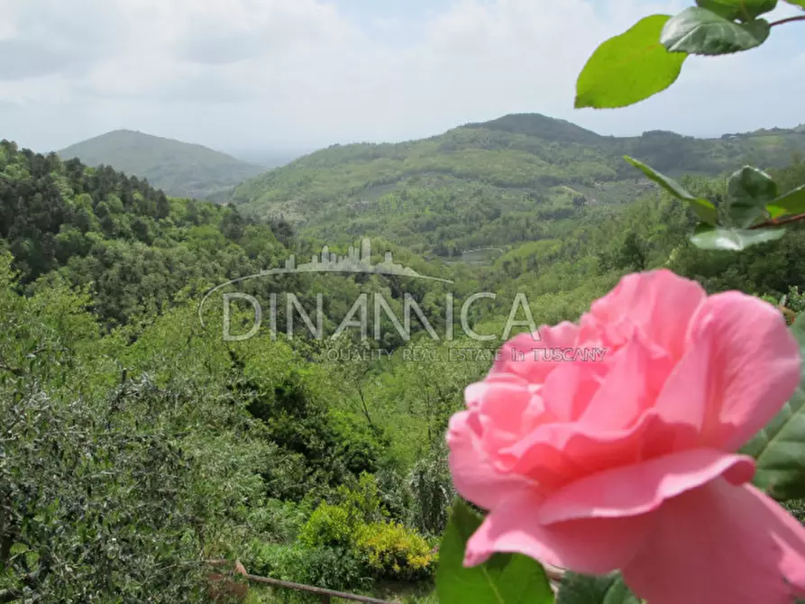 Immagine 9 di Rustico / casale in vendita  a Montecatini Terme