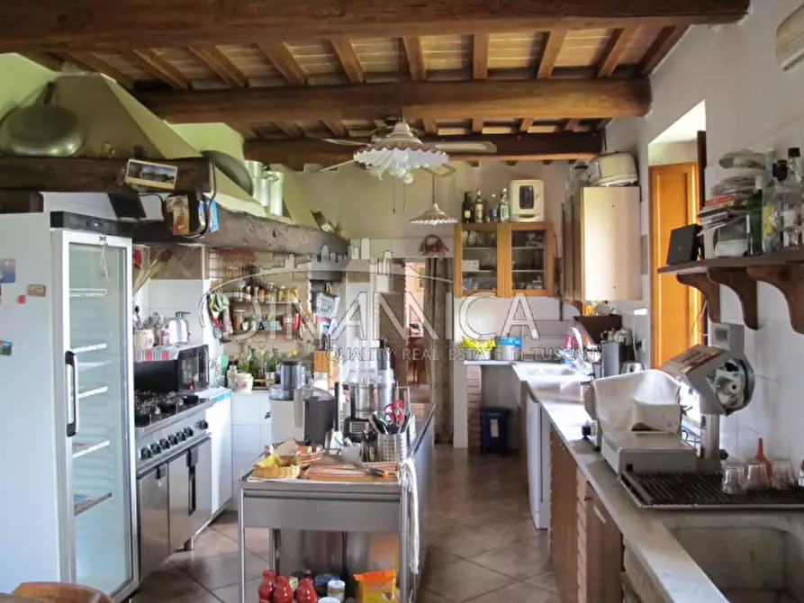 Immagine 11 di Rustico / casale in vendita  a Montecatini Terme