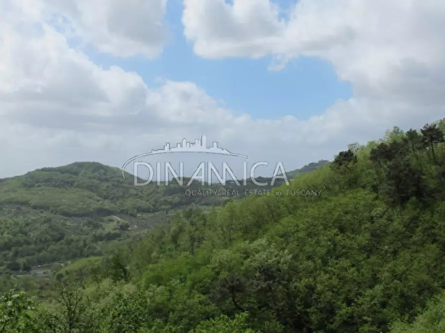 Immagine 15 di Rustico / casale in vendita  a Montecatini Terme