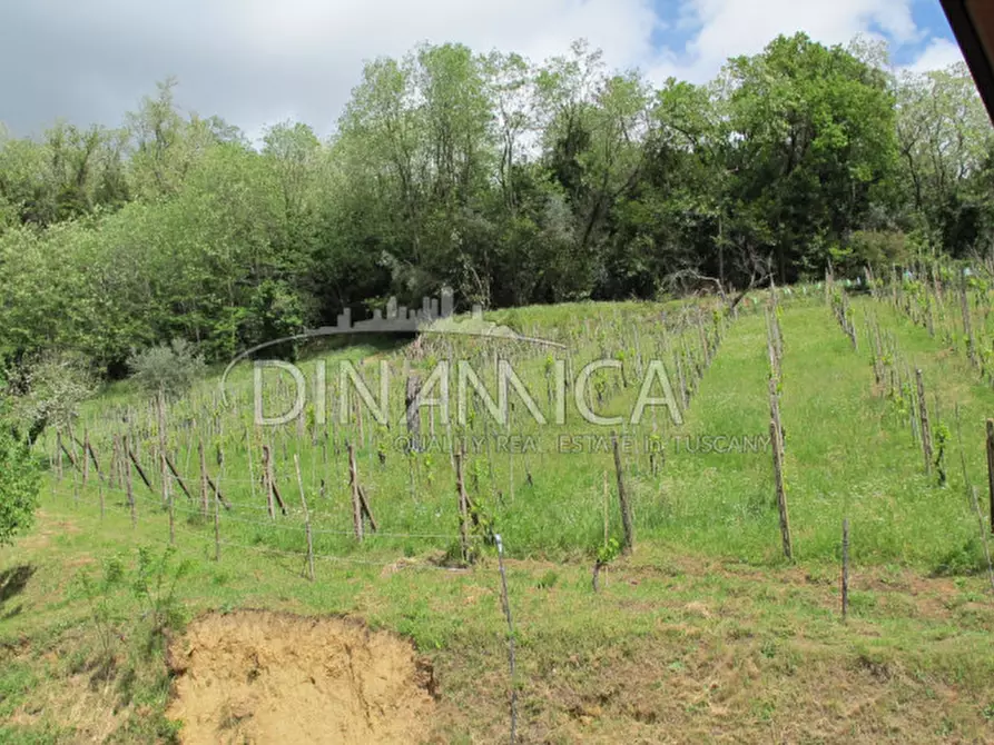 Immagine 33 di Rustico / casale in vendita  a Montecatini Terme