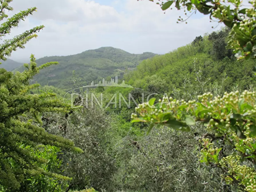 Immagine 54 di Rustico / casale in vendita  a Montecatini Terme