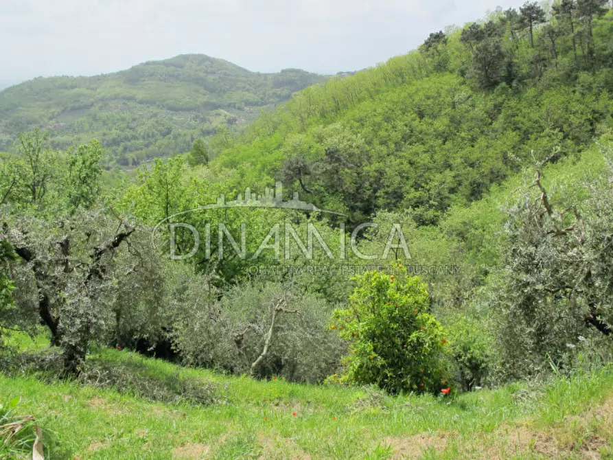 Immagine 56 di Rustico / casale in vendita  a Montecatini Terme