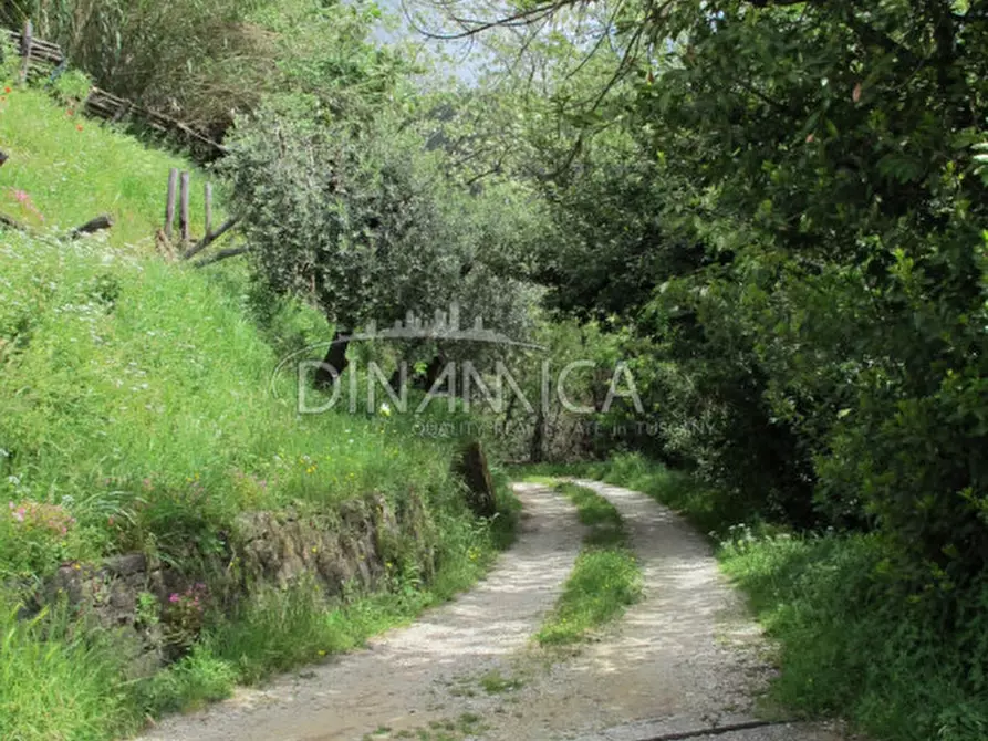 Immagine 61 di Rustico / casale in vendita  a Montecatini Terme