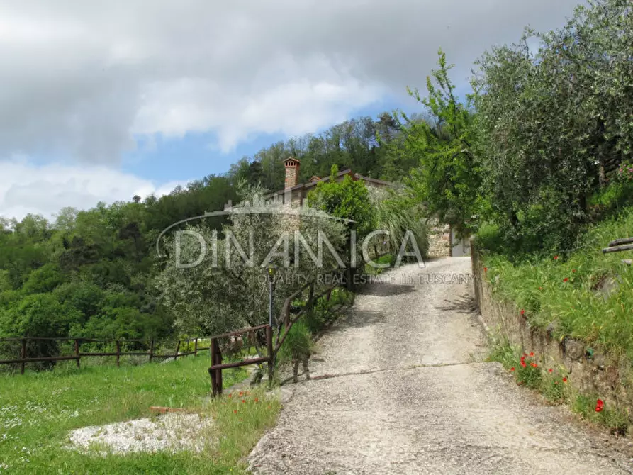 Immagine 62 di Rustico / casale in vendita  a Montecatini Terme
