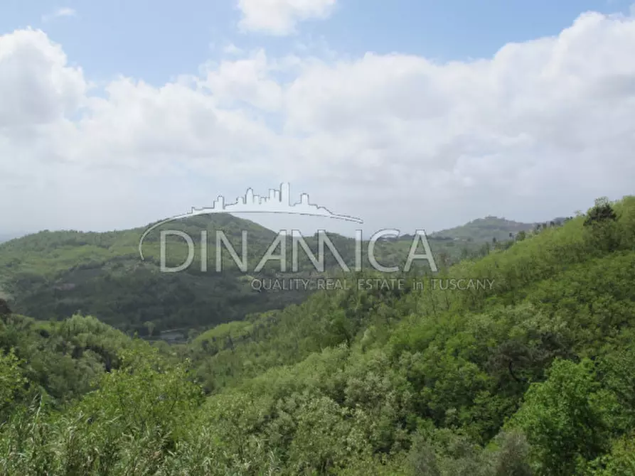 Immagine 63 di Rustico / casale in vendita  a Montecatini Terme