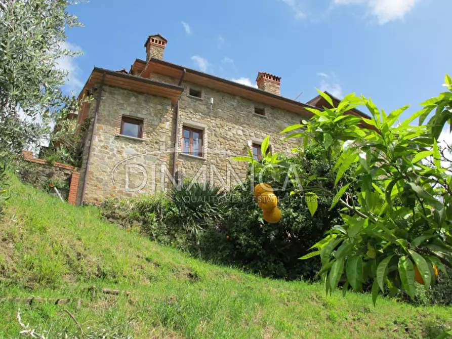 Immagine 65 di Rustico / casale in vendita  a Montecatini Terme