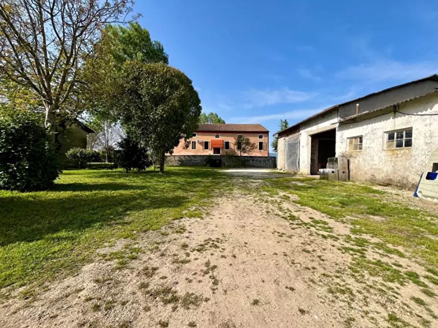 Immagine 46 di Rustico / casale in vendita  in Via Albarella, 31 a Campiglia Dei Berici