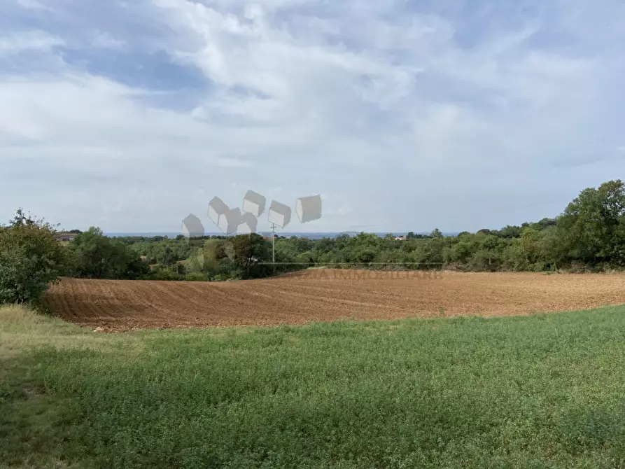 Immagine 1 di Terreno in vendita  a Lonigo