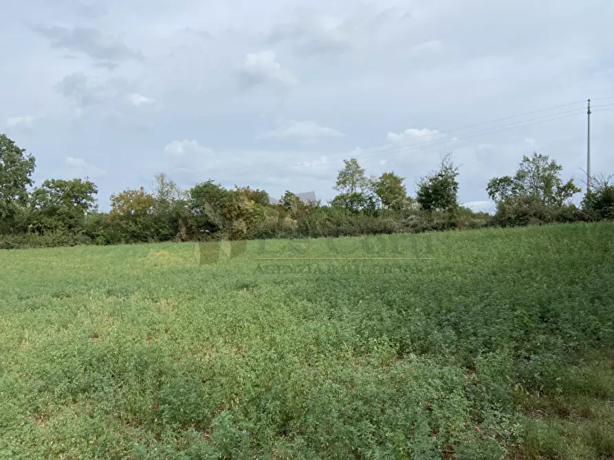 Immagine 2 di Terreno in vendita  a Lonigo