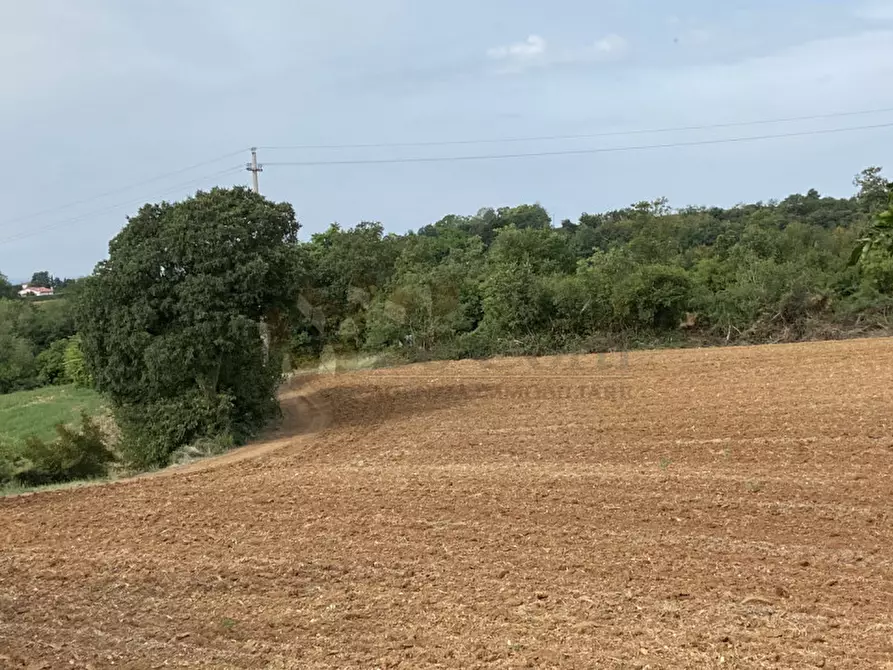 Immagine 5 di Terreno in vendita  a Lonigo