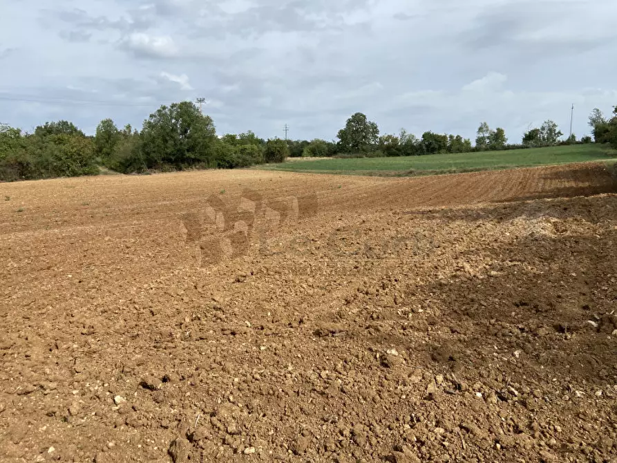 Immagine 8 di Terreno in vendita  a Lonigo