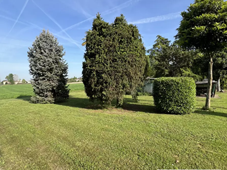 Immagine 16 di Camera in affitto  in via pisa a Vigonza