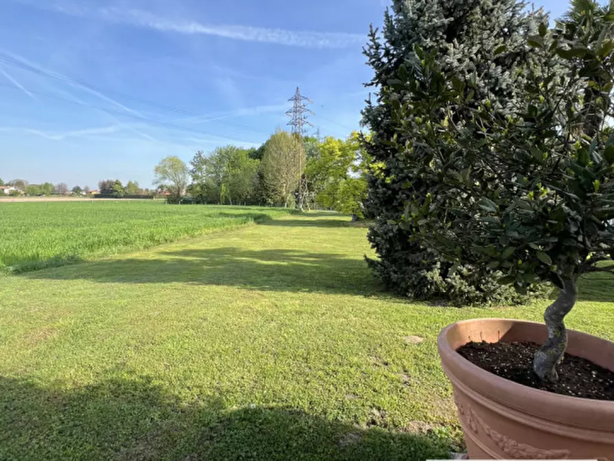 Immagine 18 di Camera in affitto  in via pisa a Vigonza