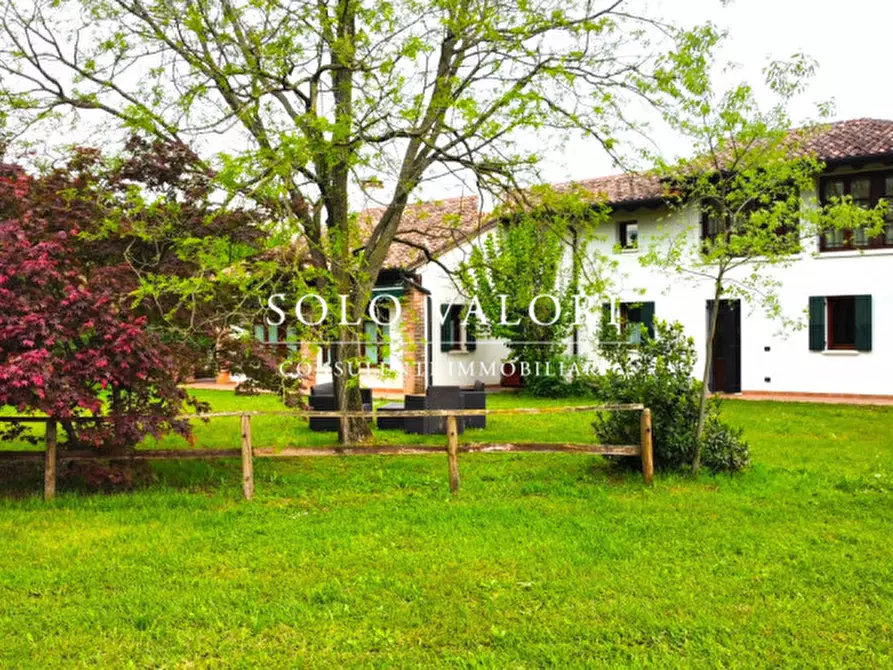 Immagine 5 di Casa indipendente in vendita  a Castelfranco Veneto