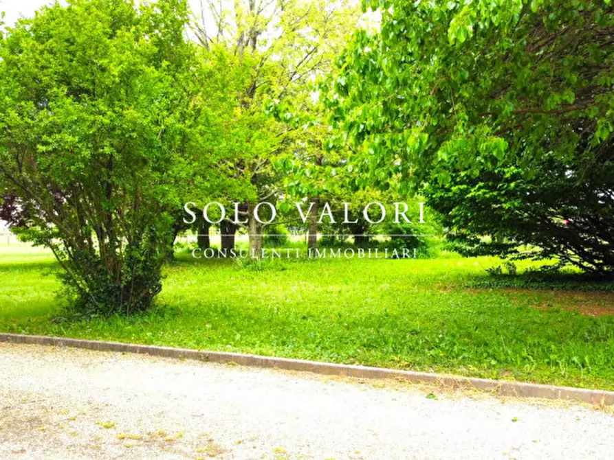 Immagine 7 di Casa indipendente in vendita  a Castelfranco Veneto