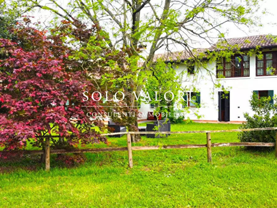 Immagine 8 di Casa indipendente in vendita  a Castelfranco Veneto