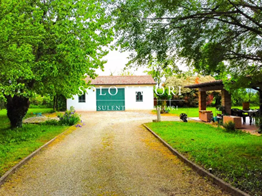 Immagine 9 di Casa indipendente in vendita  a Castelfranco Veneto