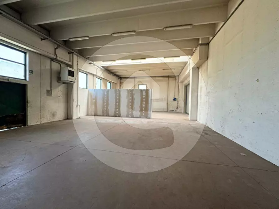 Immagine 3 di Capannone industriale in affitto  a Piombino Dese