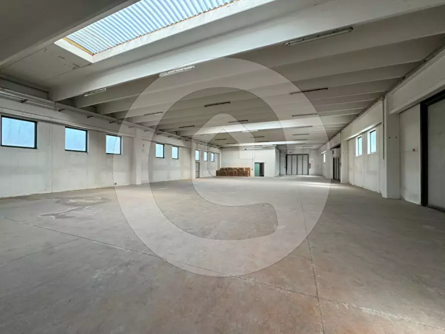 Immagine 5 di Capannone industriale in affitto  a Piombino Dese