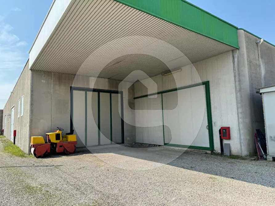 Immagine 6 di Capannone industriale in affitto  a Piombino Dese
