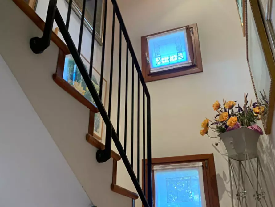 Immagine 20 di Casa indipendente in vendita  a Castelfranco Veneto