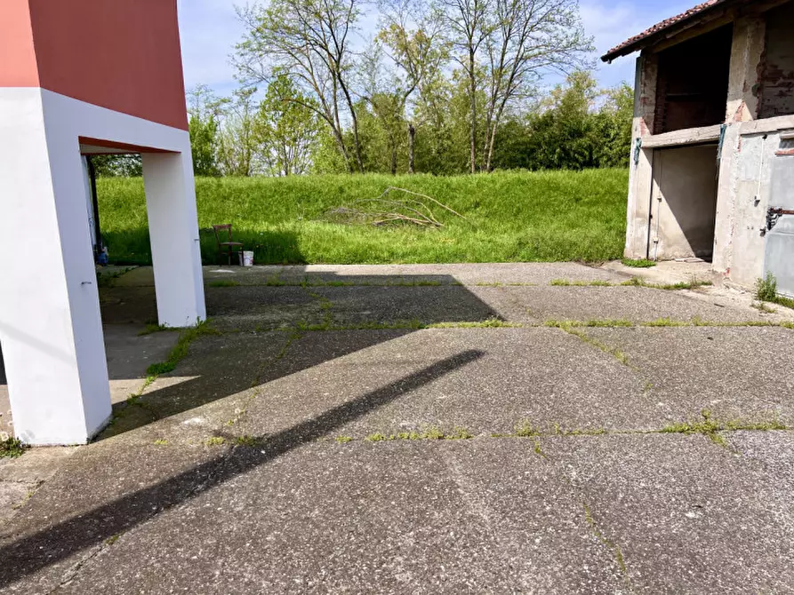 Immagine 4 di Villa in vendita  in Strada Argine Ongina n.3 a Polesine Zibello