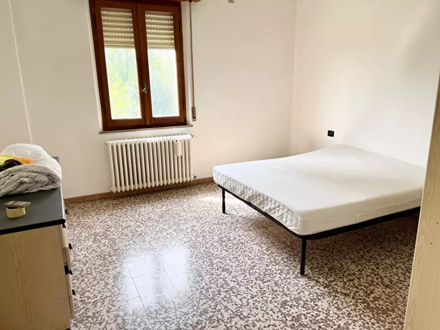 Immagine 11 di Villa in vendita  in Strada Argine Ongina n.3 a Polesine Zibello