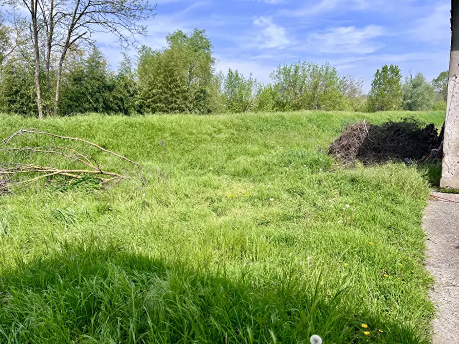 Immagine 16 di Villa in vendita  in Strada Argine Ongina n.3 a Polesine Zibello