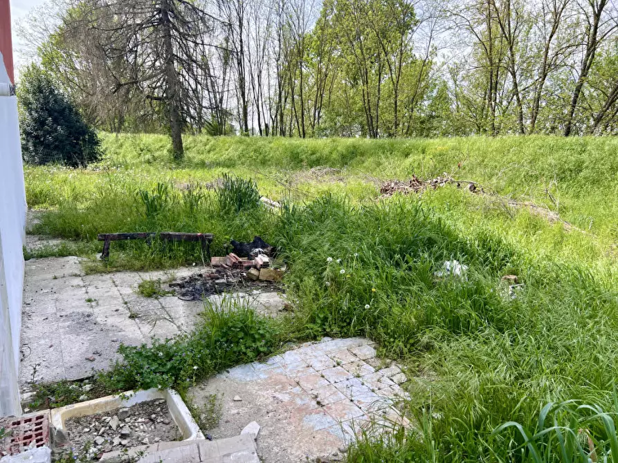 Immagine 17 di Villa in vendita  in Strada Argine Ongina n.3 a Polesine Zibello