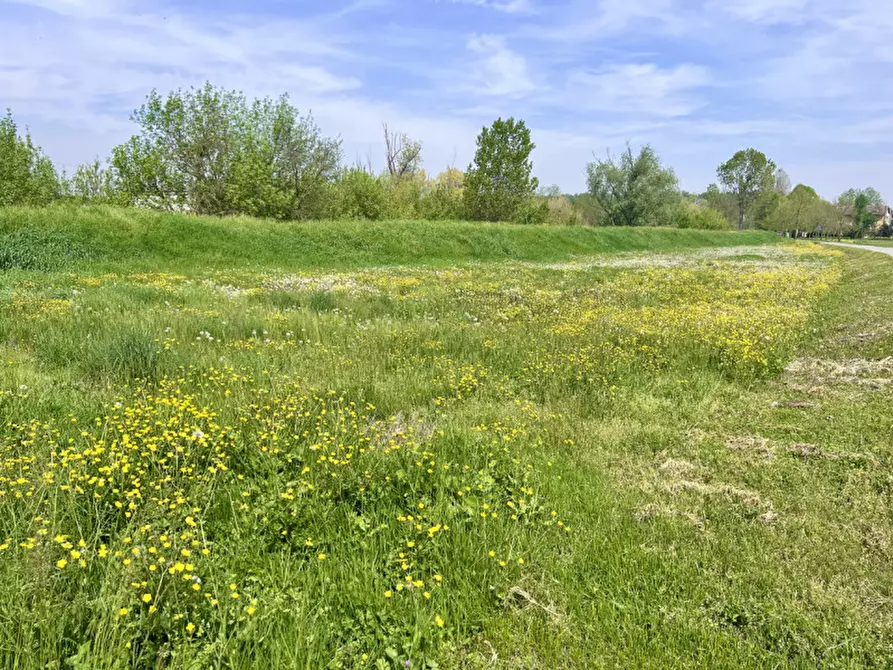 Immagine 18 di Villa in vendita  in Strada Argine Ongina n.3 a Polesine Zibello