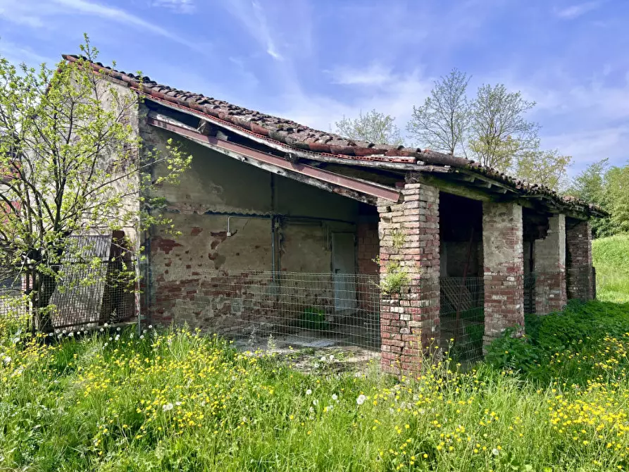 Immagine 20 di Villa in vendita  in Strada Argine Ongina n.3 a Polesine Zibello