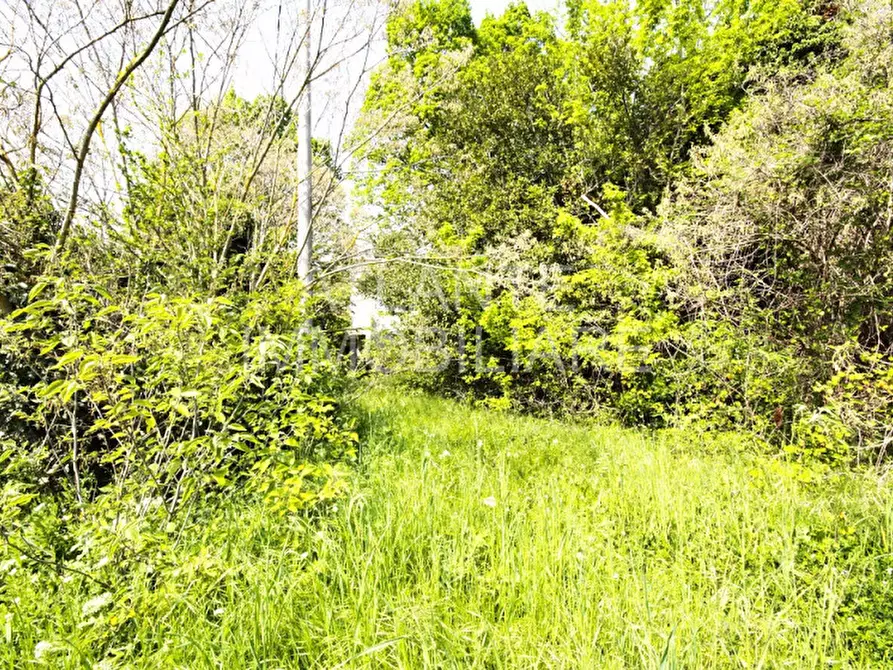 Immagine 2 di Rustico / casale in vendita  in Via Provinciale Conca a San Clemente