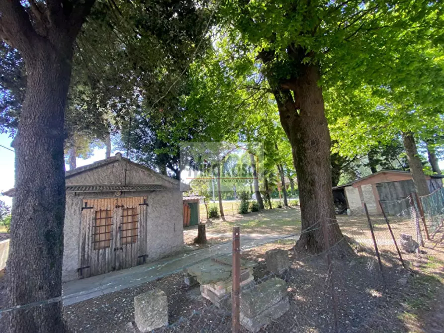 Immagine 30 di Casa bifamiliare in vendita  in Via Ragazzena 174 a Cervia