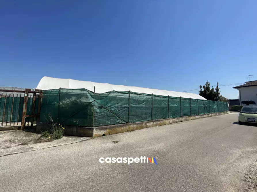 Immagine 1 di Terreno in affitto  in Via Cavalleggeri, Pontecagnano Faiano (SA) a Pontecagnano Faiano