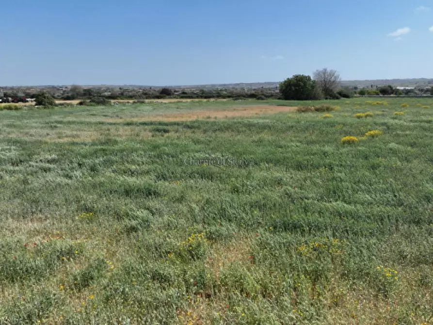 Immagine 5 di Terreno in vendita  in Contrada Bosco Cavette a Modica