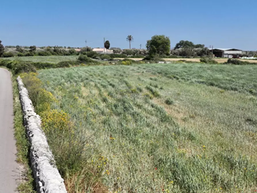 Immagine 6 di Terreno in vendita  in Contrada Bosco Cavette a Modica