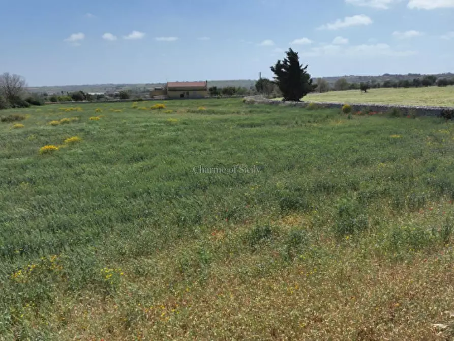 Immagine 7 di Terreno in vendita  in Contrada Bosco Cavette a Modica