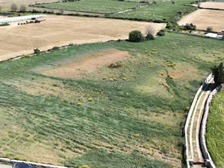 Immagine 9 di Terreno in vendita  in Contrada Bosco Cavette a Modica