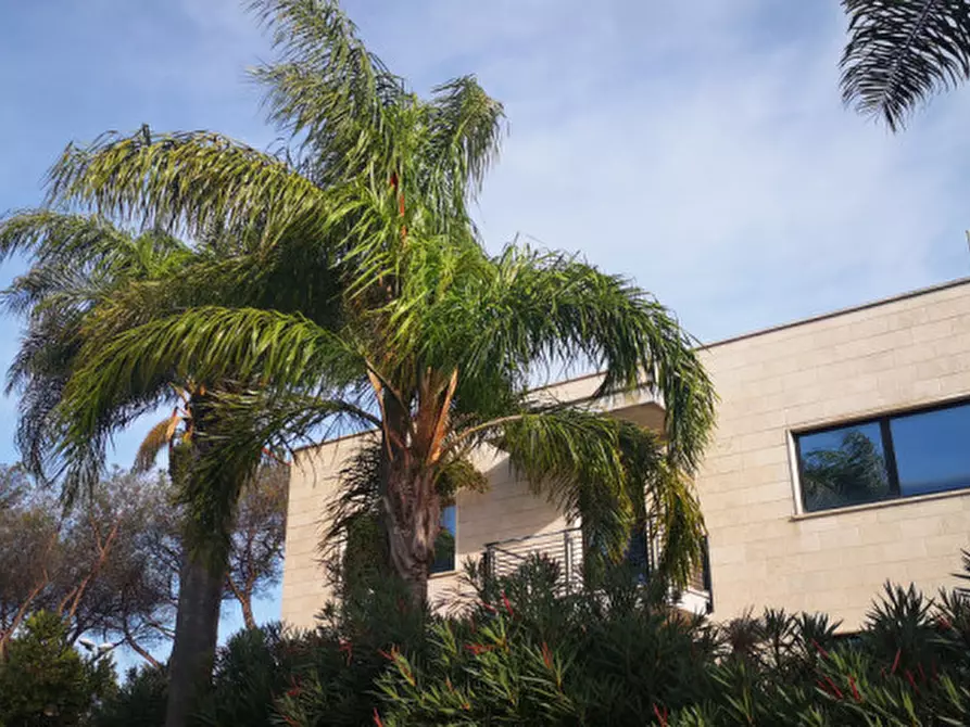 Immagine 19 di Ufficio in affitto  in Via Castello della Magliana 18 a Roma