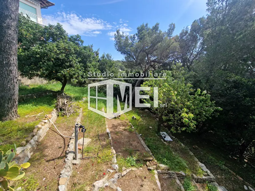 Immagine 7 di Villa in vendita  in via Kaiser Parodi a Livorno